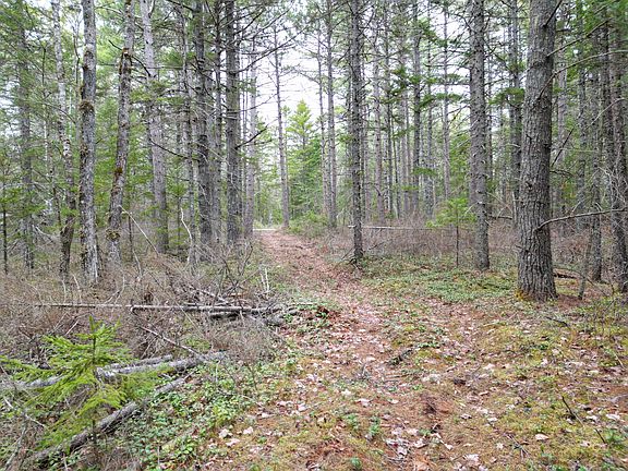 5th image of 1323 Deer Haven