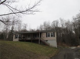 9656 Utley Rd, East Otto, NY 14729