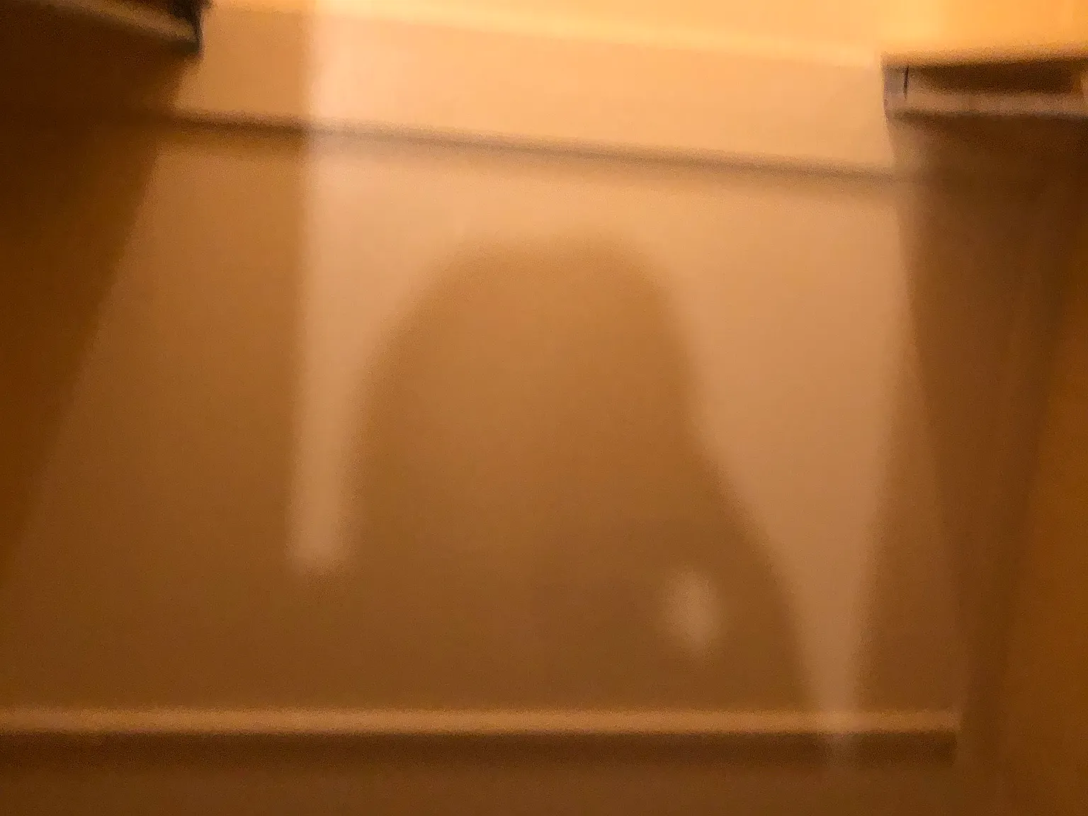 1 bed, 650 sqft, $800 — Photo 3