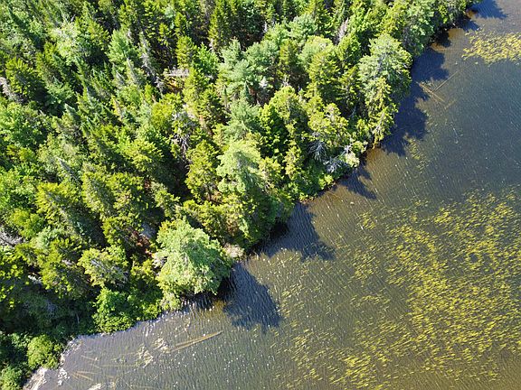 5th image of Lot 6 Goulding Lake Road