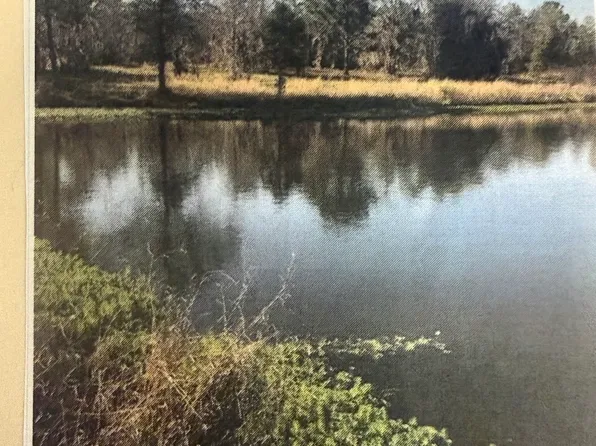 0 Henry Mims Rd, Hazlehurst, GA 31539