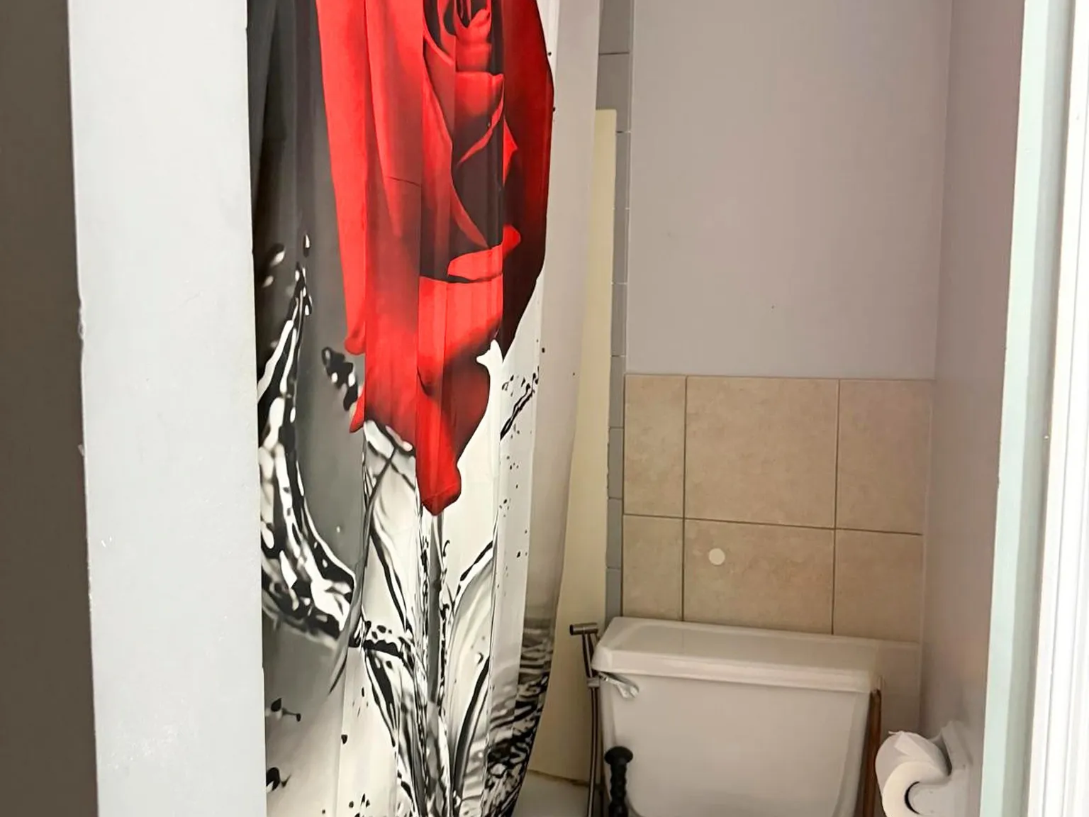 1 bed, $2,000 — Photo 4