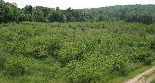 4th image of 1555 County Road 25 S