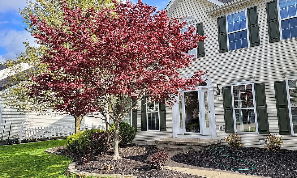 1st image of 11329 Glen Abbey Dr