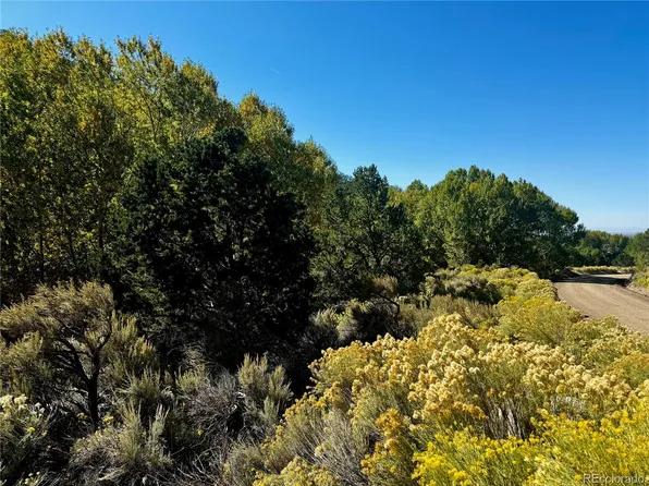 Lot 1426 Joy Road, San Luis, CO 81152