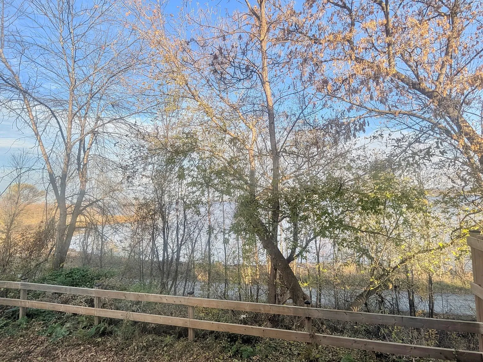 3 bed, $2,600 — Photo 2