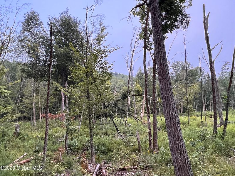 3rd image of L14.100 Cheney Pond