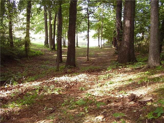 2nd image of 1 Dixies Ct #36
