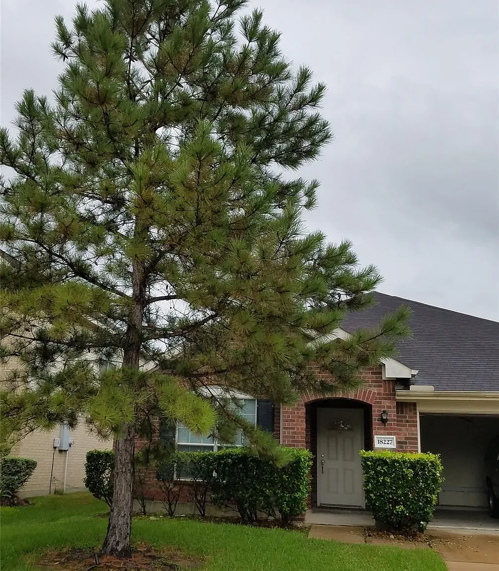 4 bed, 2.0 bath, 1970 sqft, $1,950 — Photo 1