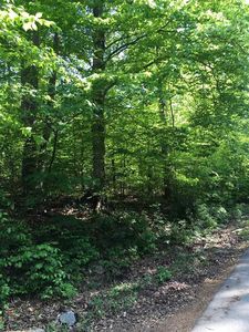 Bloom Dr, Newport, TN, 37821