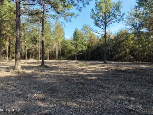 TRACT State Highway 441 #C, Holden, LA 70744