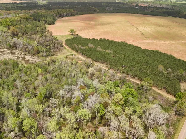 0 Wayback Rd, Edison, GA 39846