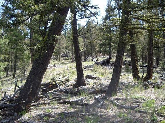 4th image of 16822 Mt Highway 141
