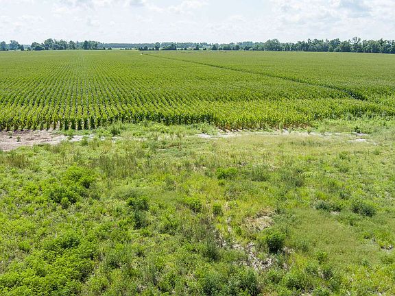 5th image of 4844 N County Road 53
