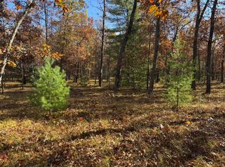 PARCEL 7 E County Line Rd, Free Soil, MI 49411