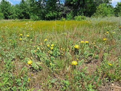 1005AC Barberry Ave, Newaygo, MI, 49337