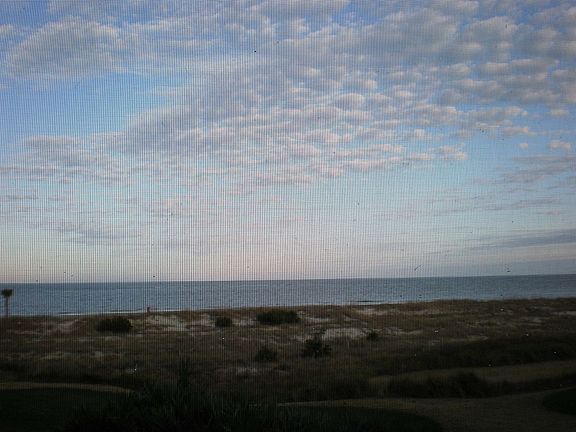 Views! Views! Views!