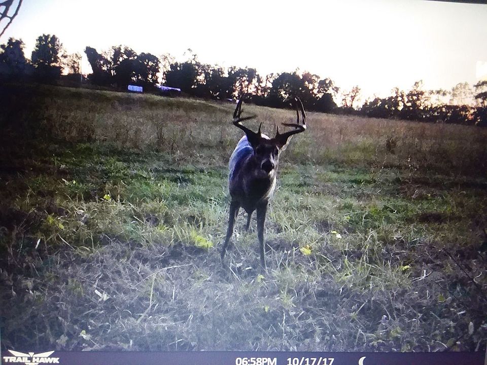 1st image of 359 Crooked Creek Road