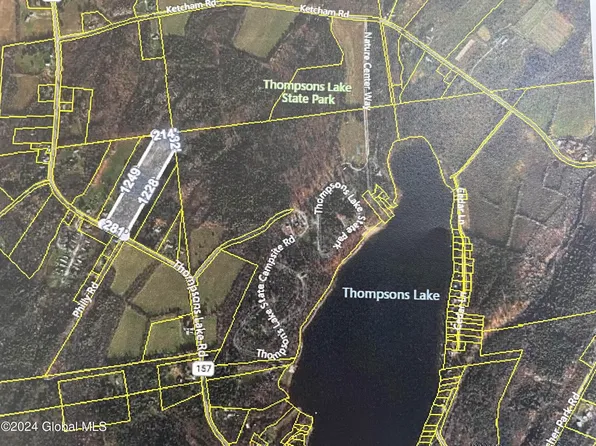 1510 Thompsons Lake Road, East Berne, NY 12059