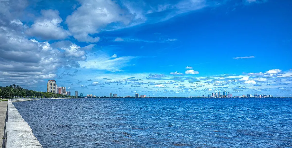 Building Photo - 4907 Bayshore Blvd