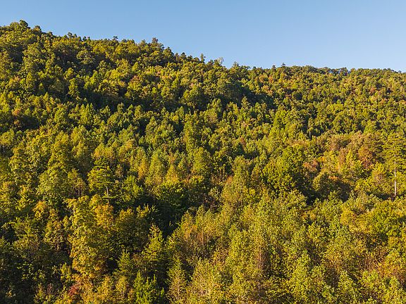 5th image of 0 Black Valley Rd