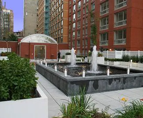 Rented by NY Living Solutions | media 44