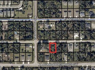 482 Hansare St SW, Palm Bay, FL 32908