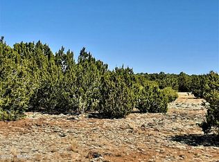 8732 Supancheck Rd, Show Low, AZ 85901