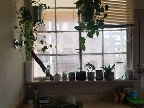 5th image of 3508 Elm St #1