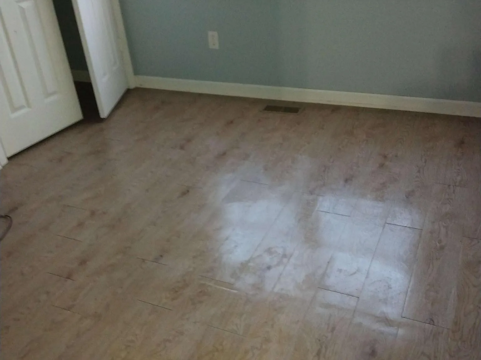 1662 Pineland St — Photo 3