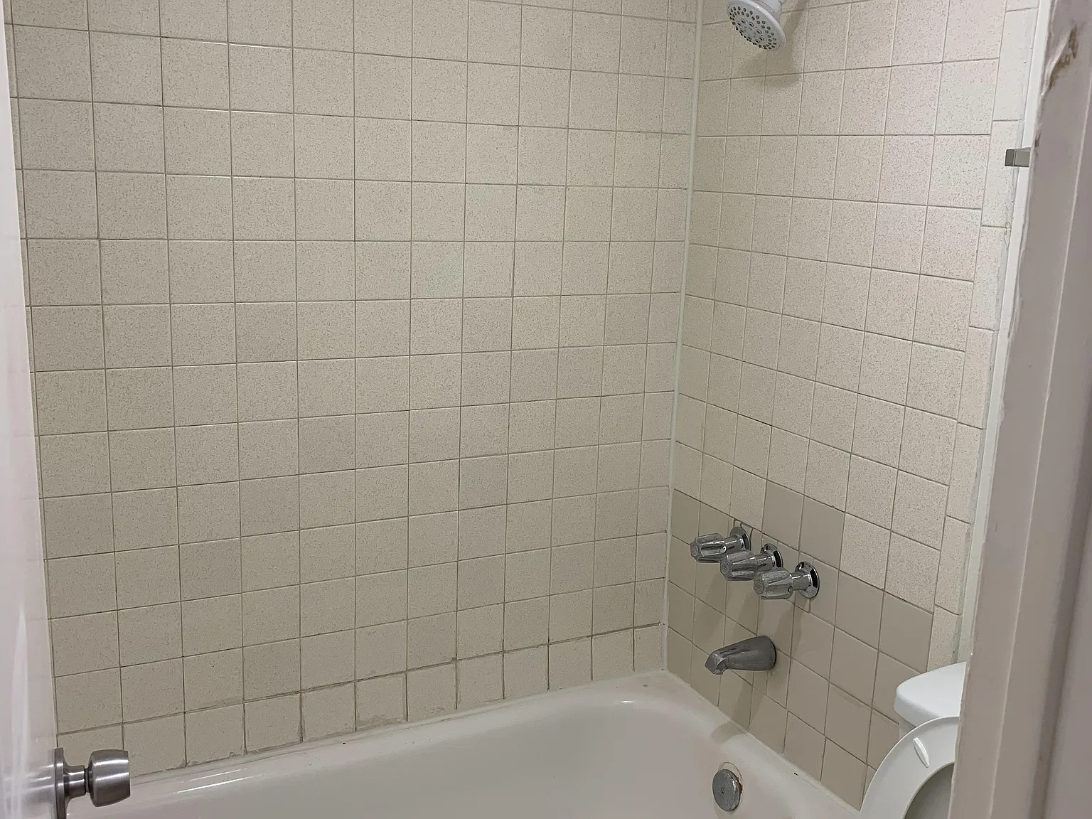 1 bed, 800 sqft, $1,000 — Photo 4