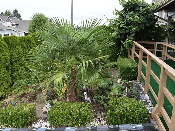3rd image of 12211 SE 259th Pl