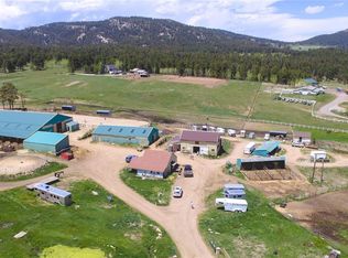 23615 Oehlmann Park Rd, Conifer, CO 80433