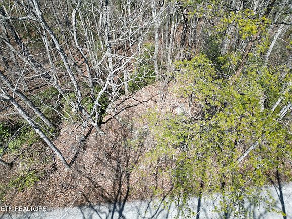 4th image of 609 Saint George Dr Lot 5