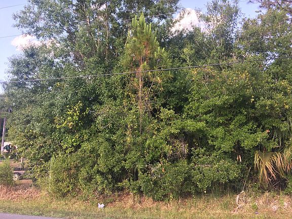 2nd image of 00 Nova Ave