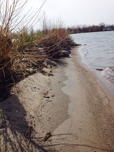 1st image of Lake Shore On W Side Silver