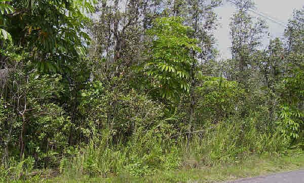 1st image of 24th Ave Lot 112