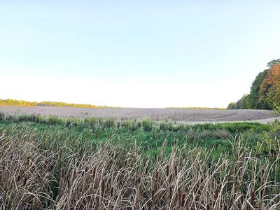 Wildt Hwy, Bellevue, MI, 49021