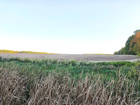 Wildt Hwy, Bellevue, MI 49021