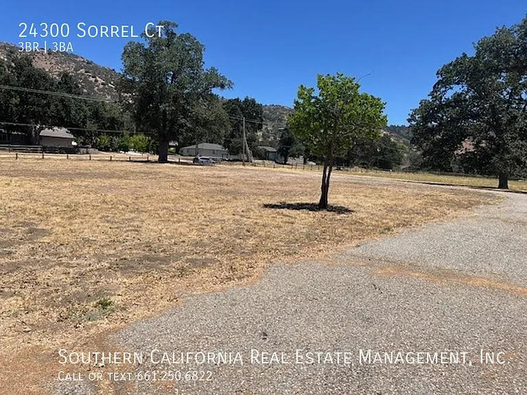 24300 Sorrel Ct — Photo 34