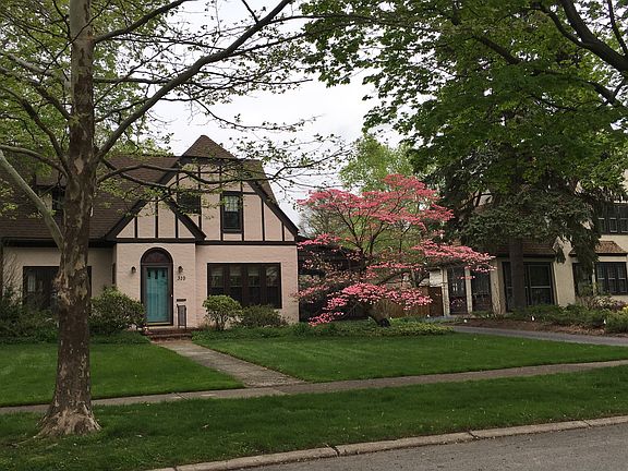 Porch behind dogwood tree