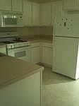 5th image of 1521 Cove Creek Cir