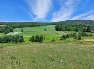 834 Crescent Valley Rd #24, Bovina Center, NY 13740