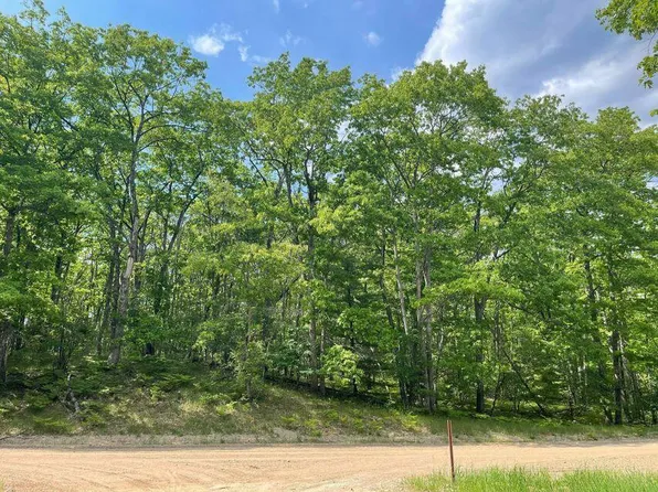 LOT 83 Sitzmark Rd, Spruce, MI 48762