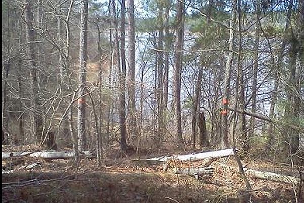 1st image of Block 1 Savannah Pt Lot 17