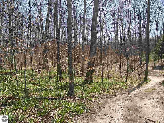 4th image of W Armstrong Lake Trail B 2