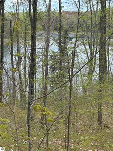 V/l Hardwood Dr, Alba, MI, 49611