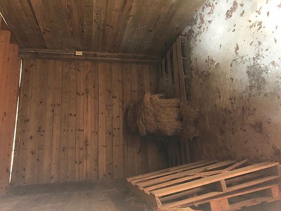 2nd image of 220 Wild Oak Ln