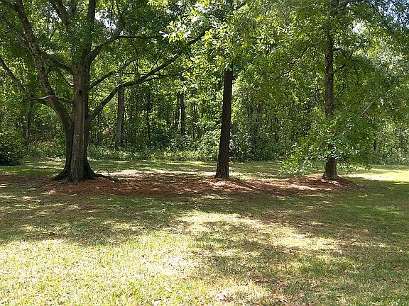 3rd image of 3923 Patricia Dr