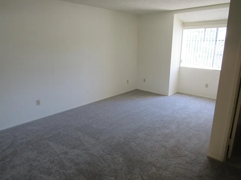 613 Colby Cir — Photo 5